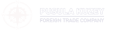 Pusula Kuzey